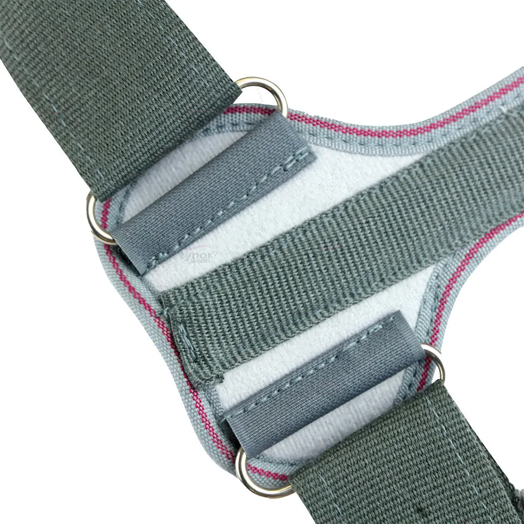 Clavicle Brace With Fastening Tape (Posture Corrector)